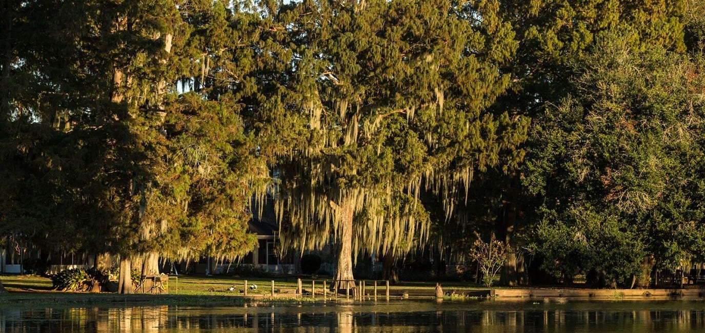 photo of Franklin, LA water & trees