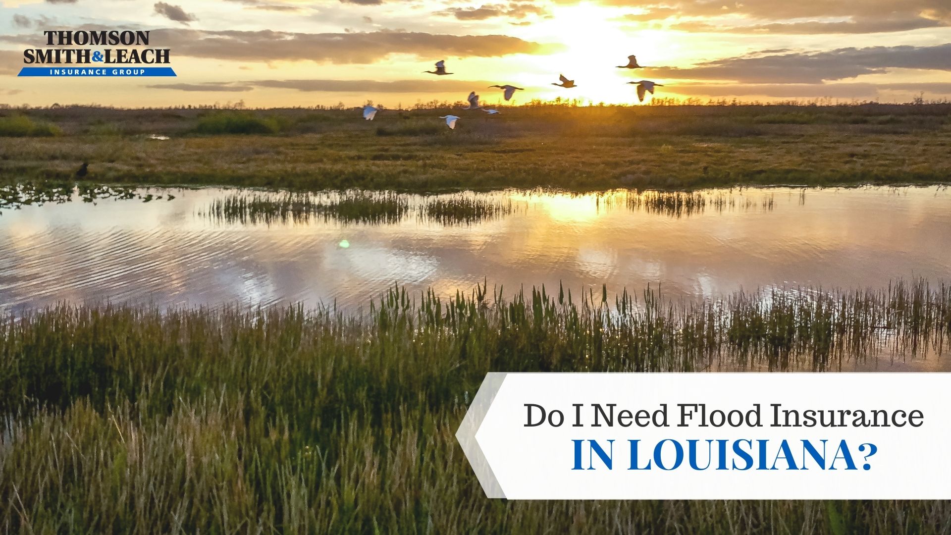 Do I Need Flood Insurance in Louisiana