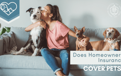 Does Homeowners Insurance Cover Pet Damage?