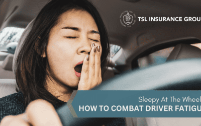 Sleepy at The Wheel? How to Combat Driver Fatigue