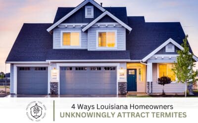 4 Ways Louisiana Homeowners Unknowingly Attract Termites