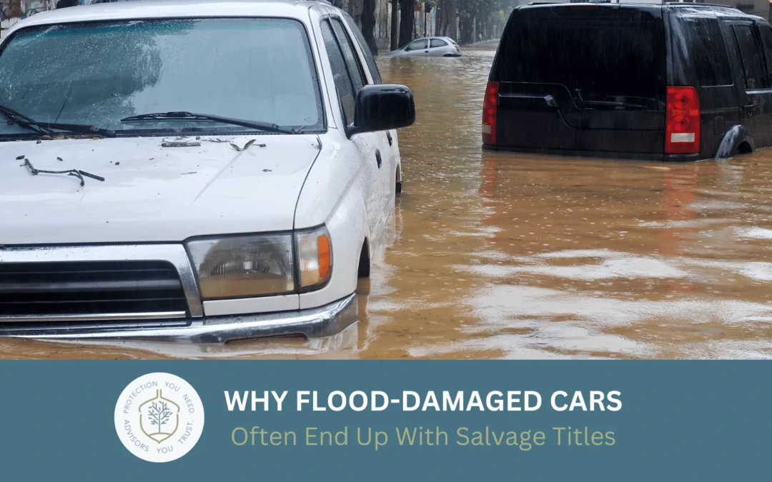 Why Flood-Damaged Cars Often End Up With Salvage Titles